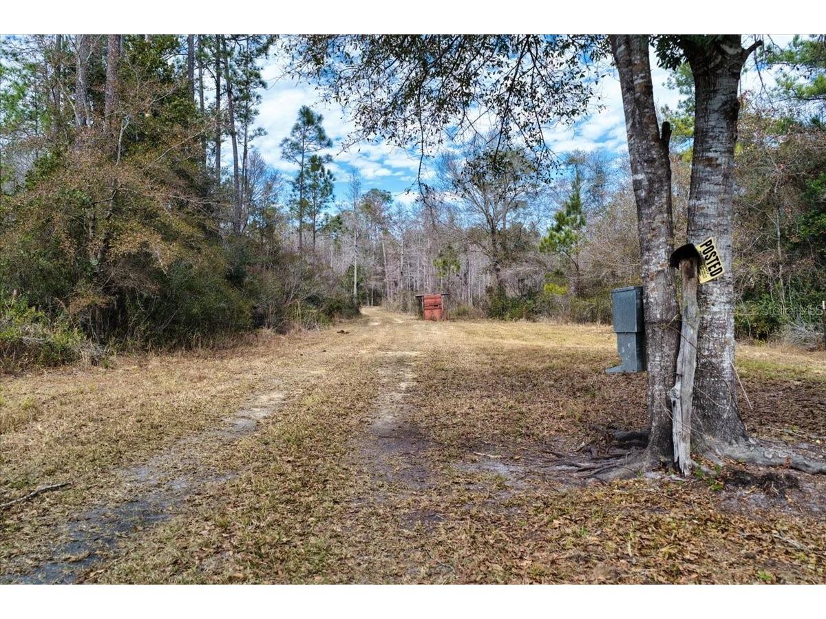 60 Acres NW Clyatt Road Chiefland FL 32626 OM718503 image10