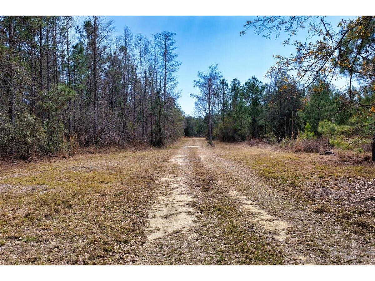 60 Acres NW Clyatt Road Chiefland FL 32626 OM718503 image11