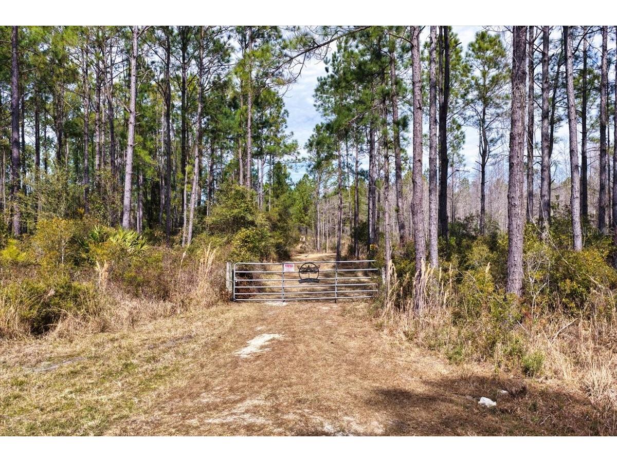 60 Acres NW Clyatt Road Chiefland FL 32626 OM718503 image13