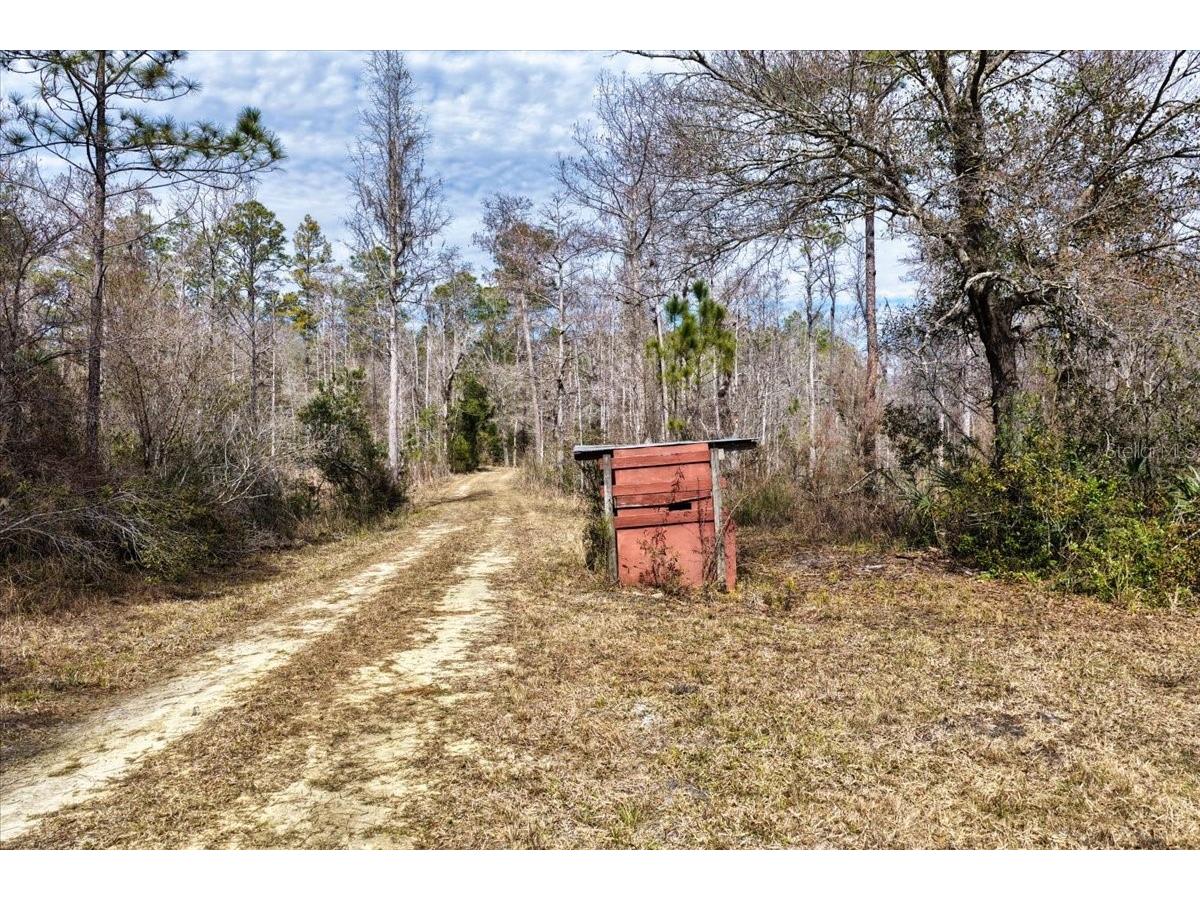 60 Acres NW Clyatt Road Chiefland FL 32626 OM718503 image14