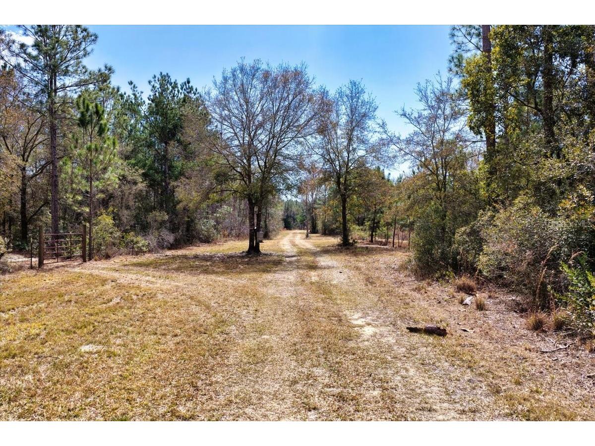 60 Acres NW Clyatt Road Chiefland FL 32626 OM718503 image15