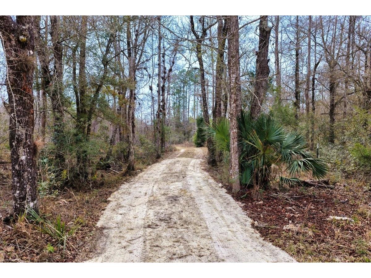 60 Acres NW Clyatt Road Chiefland FL 32626 OM718503 image16