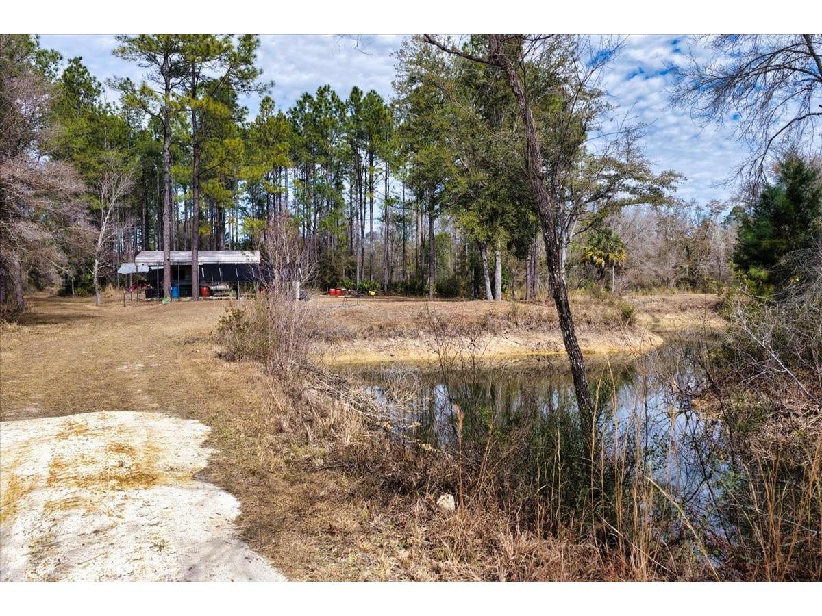 60 Acres NW Clyatt Road Chiefland FL 32626 OM718503 image17