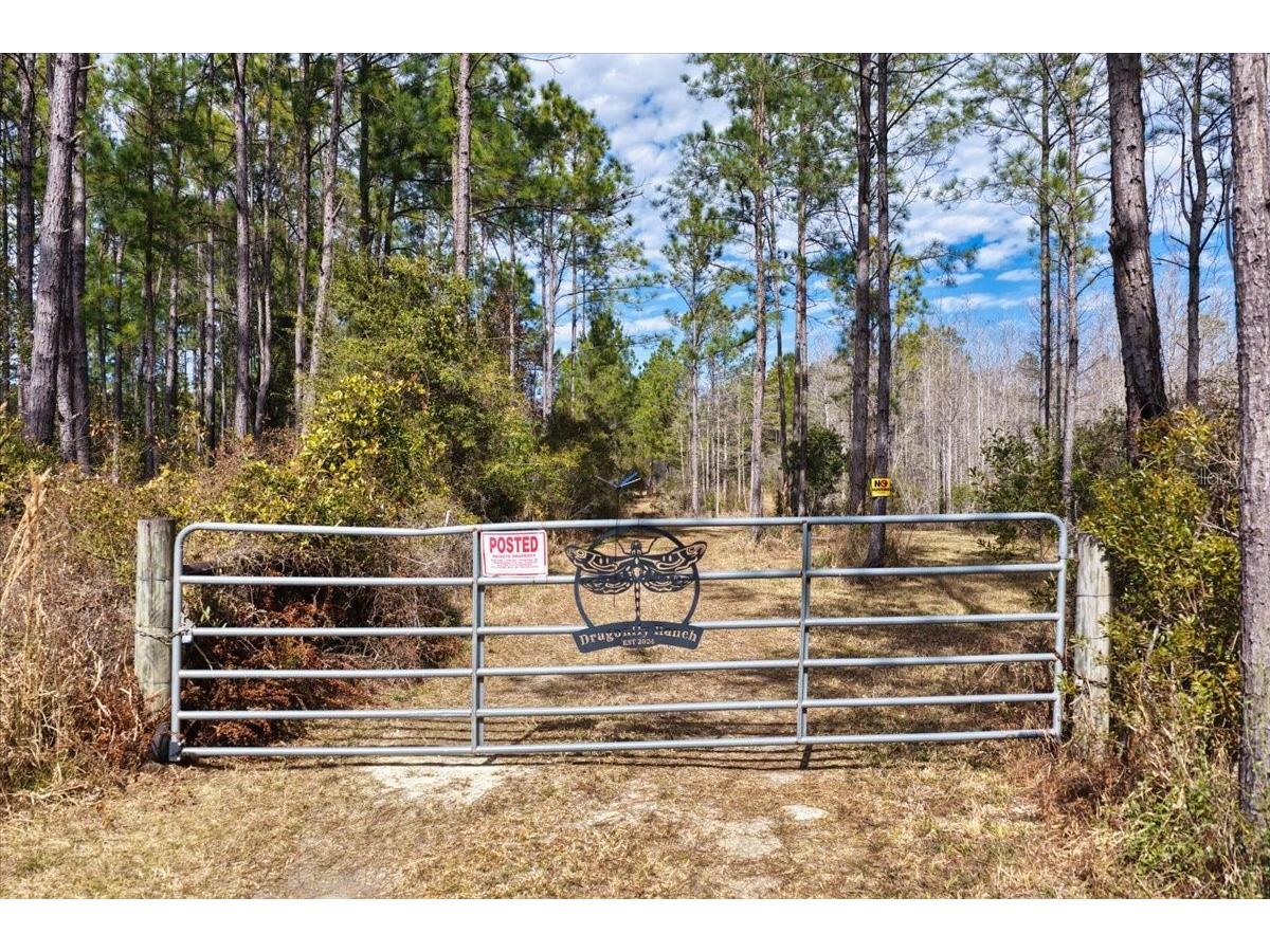 60 Acres NW Clyatt Road Chiefland FL 32626 OM718503 image2