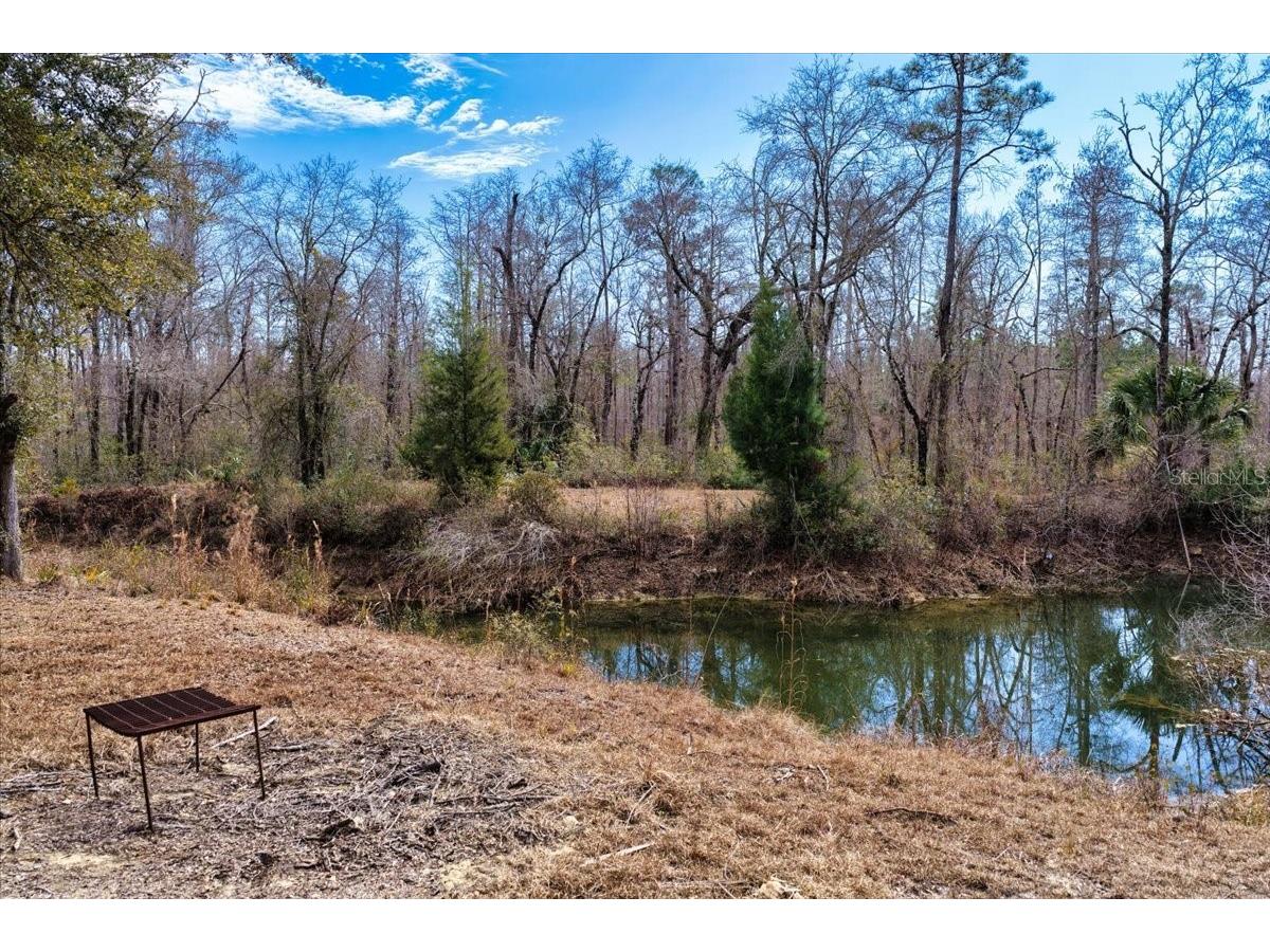 60 Acres NW Clyatt Road Chiefland FL 32626 OM718503 image21