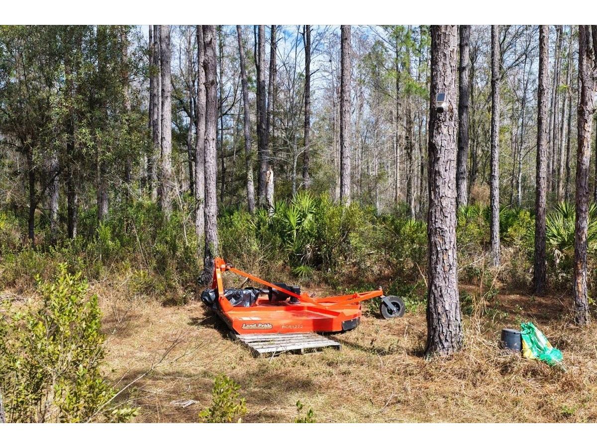 60 Acres NW Clyatt Road Chiefland FL 32626 OM718503 image29
