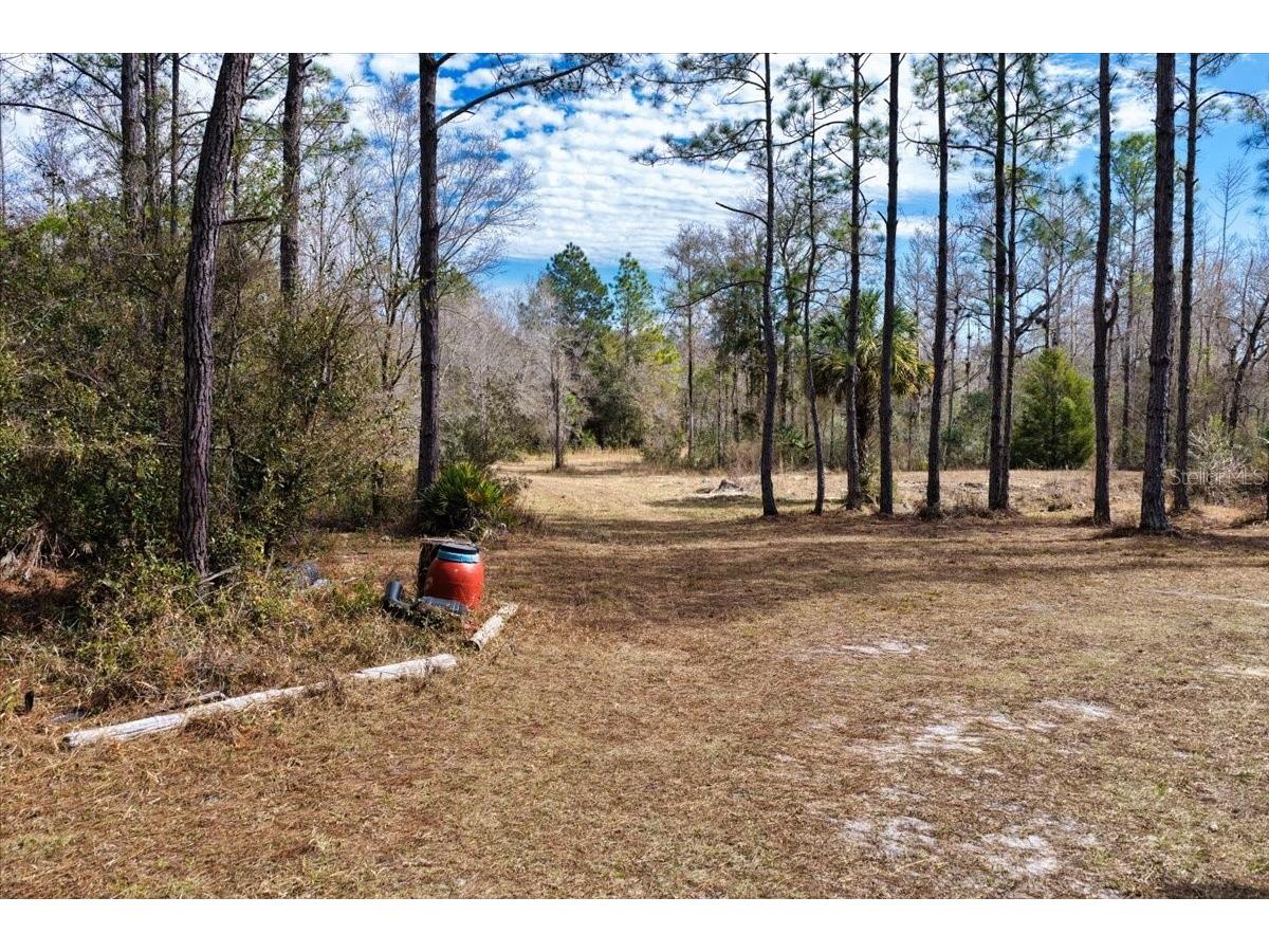 60 Acres NW Clyatt Road Chiefland FL 32626 OM718503 image30