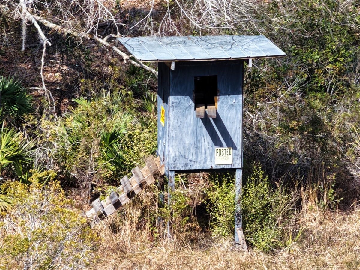 60 Acres NW Clyatt Road Chiefland FL 32626 OM718503 image35