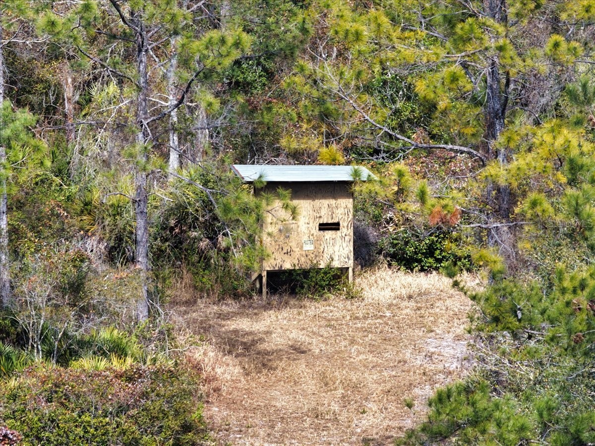 60 Acres NW Clyatt Road Chiefland FL 32626 OM718503 image37