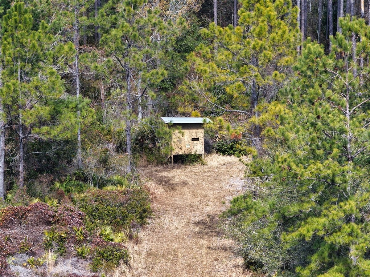 60 Acres NW Clyatt Road Chiefland FL 32626 OM718503 image38