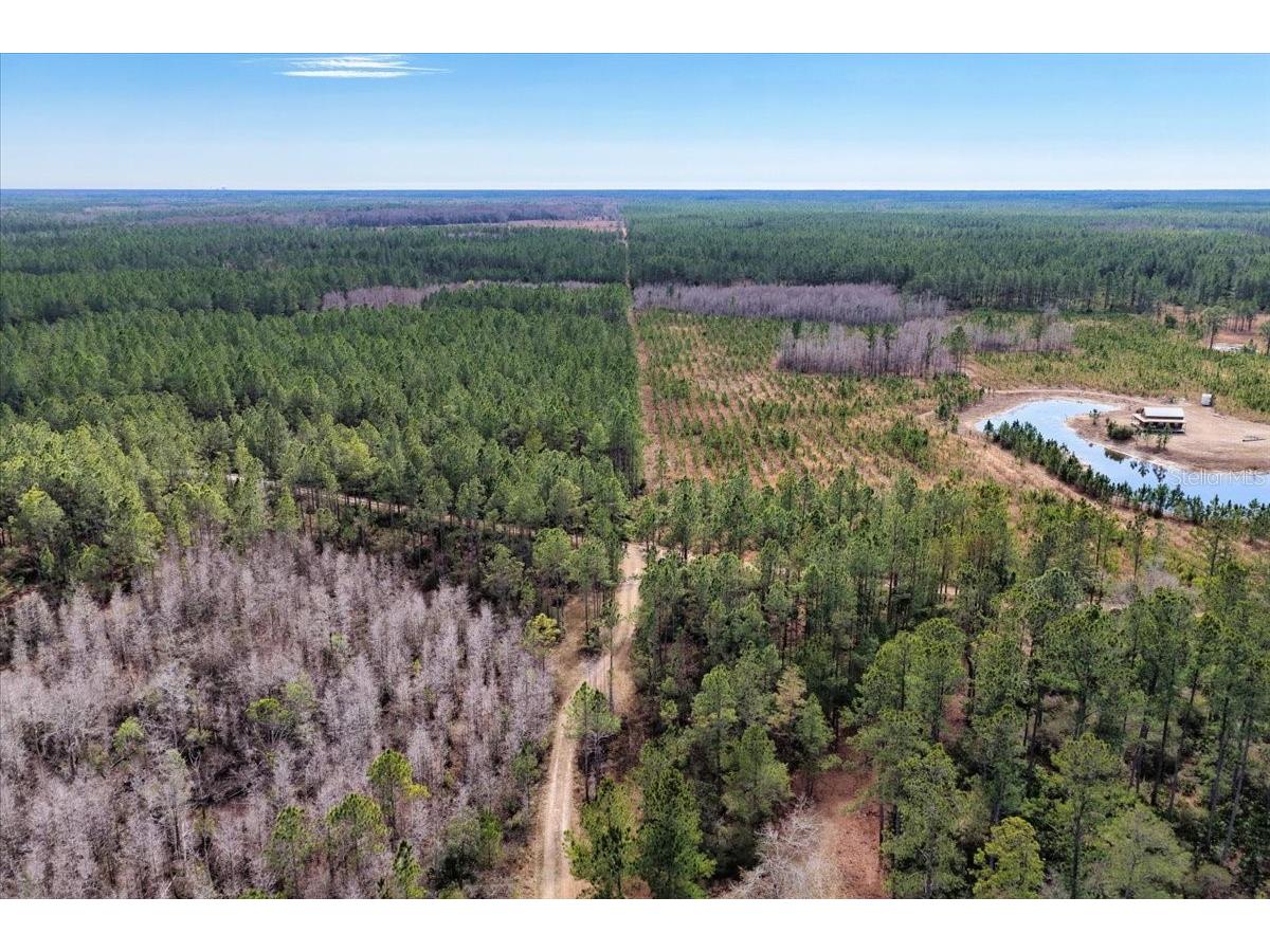 60 Acres NW Clyatt Road Chiefland FL 32626 OM718503 image39