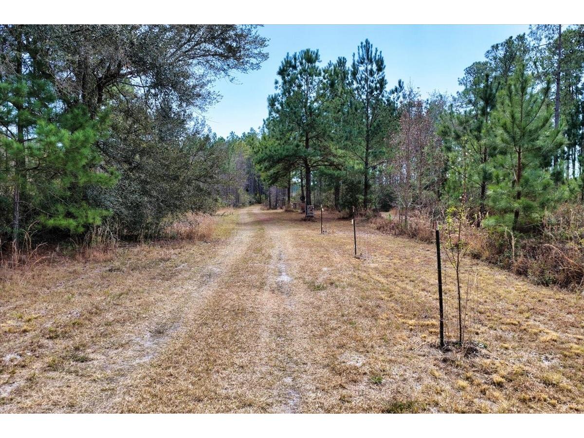 60 Acres NW Clyatt Road Chiefland FL 32626 OM718503 image4