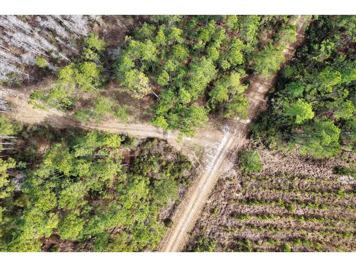 60 Acres NW Clyatt Road Chiefland FL 32626 OM718503 image40