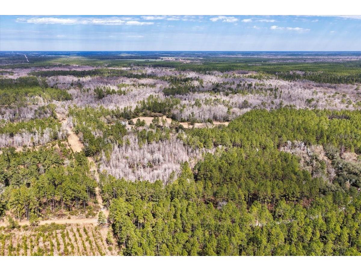 60 Acres NW Clyatt Road Chiefland FL 32626 OM718503 image41