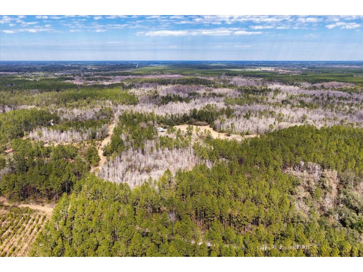 60 Acres NW Clyatt Road Chiefland FL 32626 OM718503 image42
