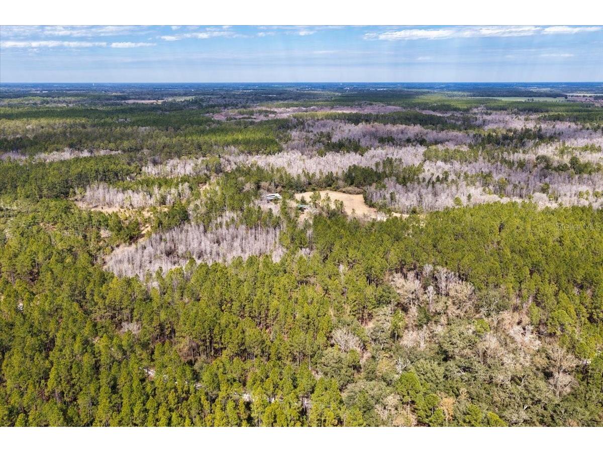 60 Acres NW Clyatt Road Chiefland FL 32626 OM718503 image43