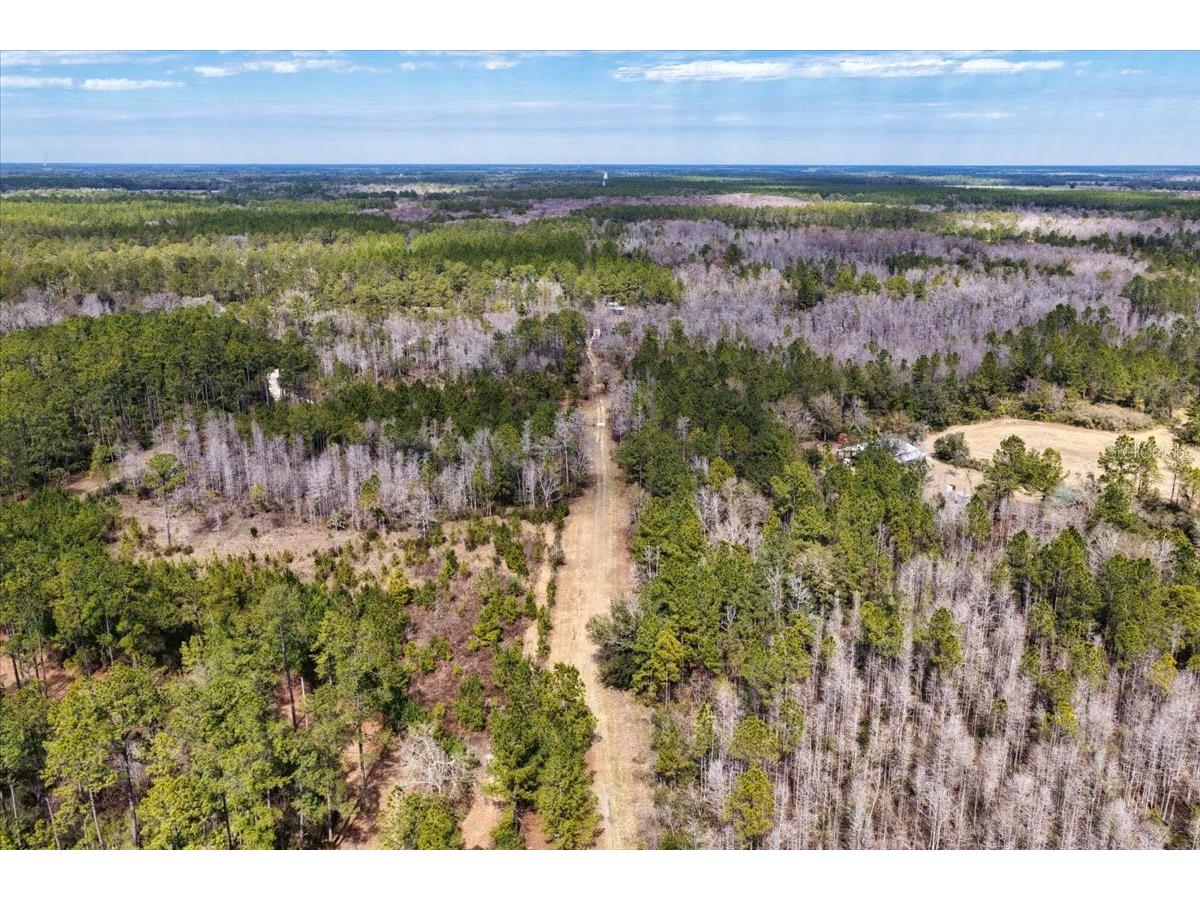 60 Acres NW Clyatt Road Chiefland FL 32626 OM718503 image44