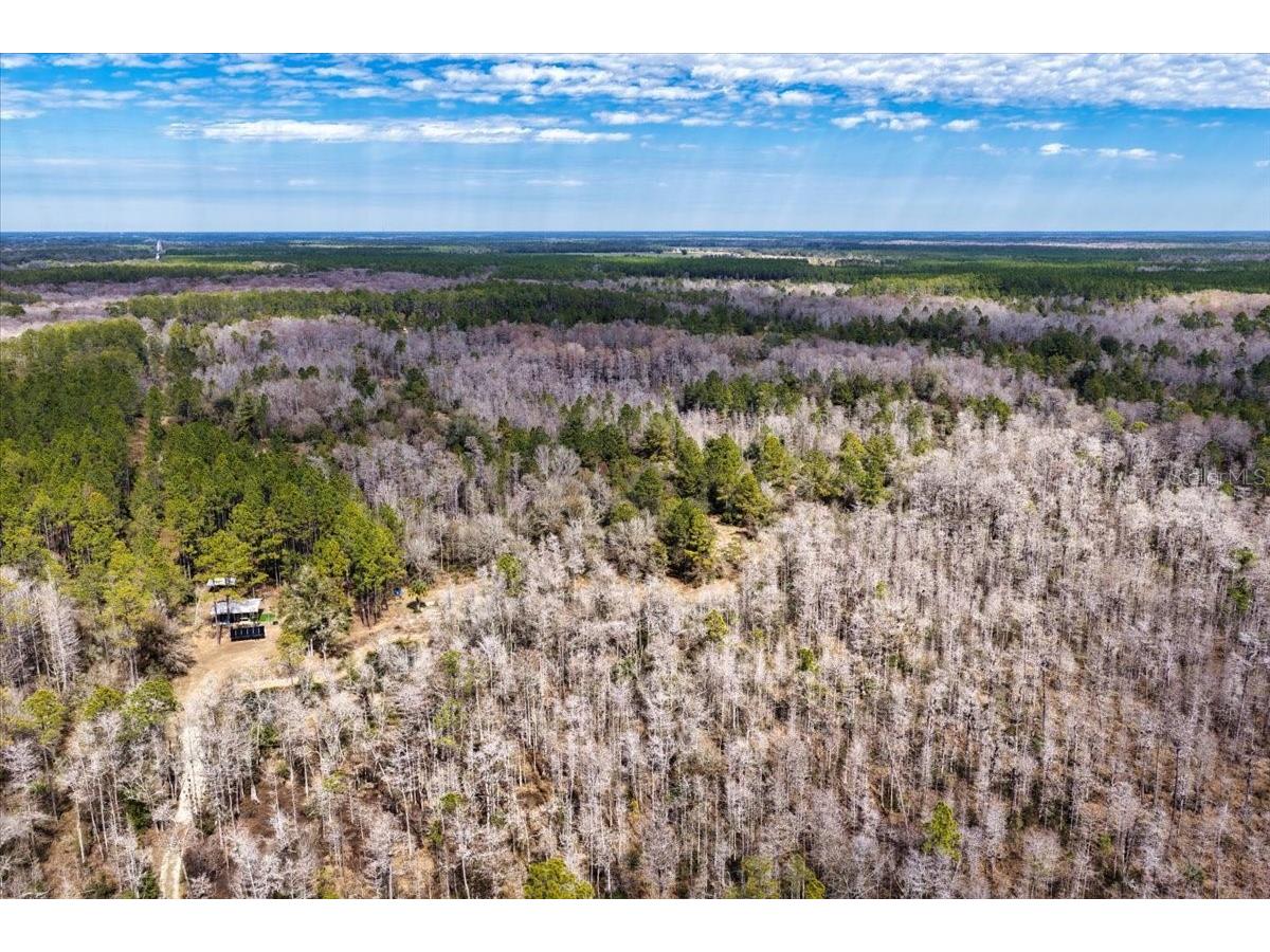 60 Acres NW Clyatt Road Chiefland FL 32626 OM718503 image45