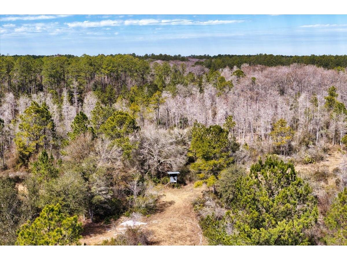 60 Acres NW Clyatt Road Chiefland FL 32626 OM718503 image47