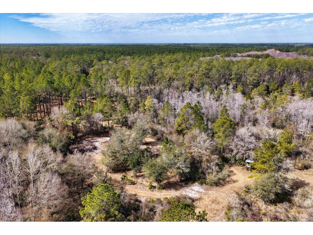 60 Acres NW Clyatt Road Chiefland FL 32626 OM718503 image48