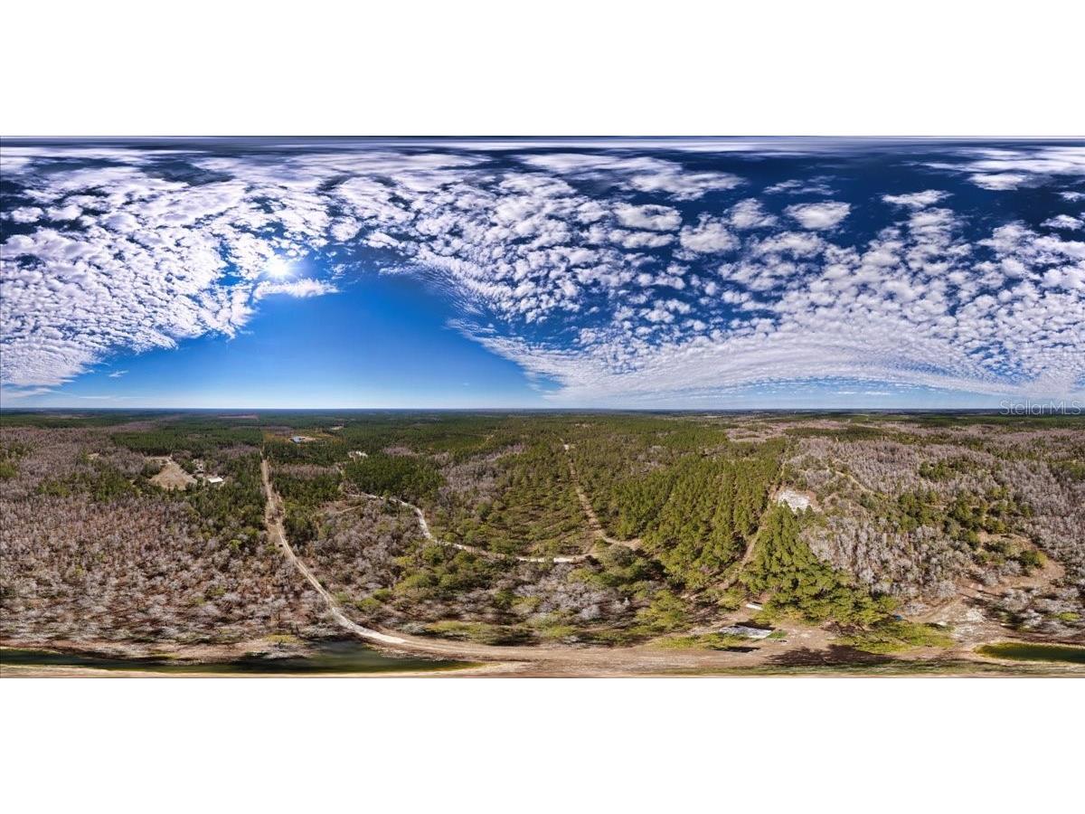 60 Acres NW Clyatt Road Chiefland FL 32626 OM718503 image49