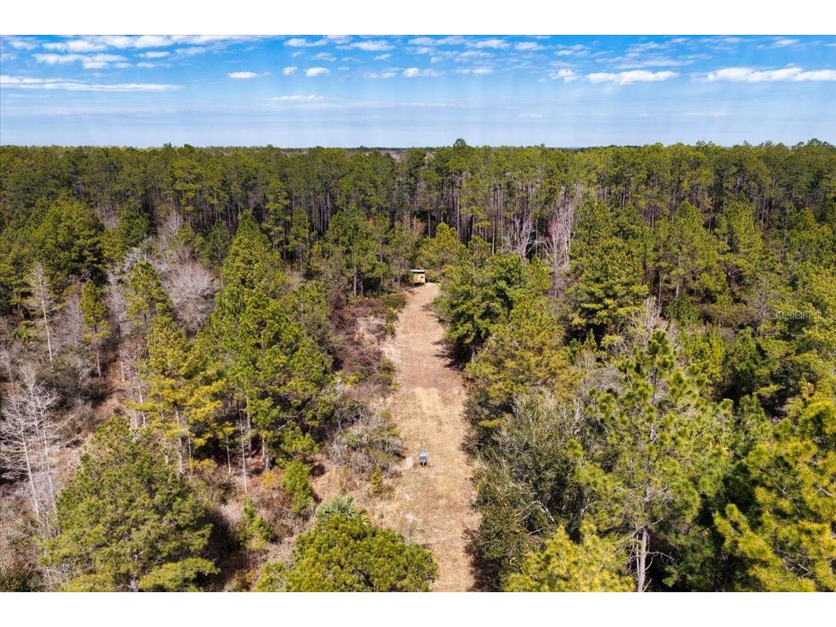 60 Acres NW Clyatt Road Chiefland FL 32626 OM718503 image52