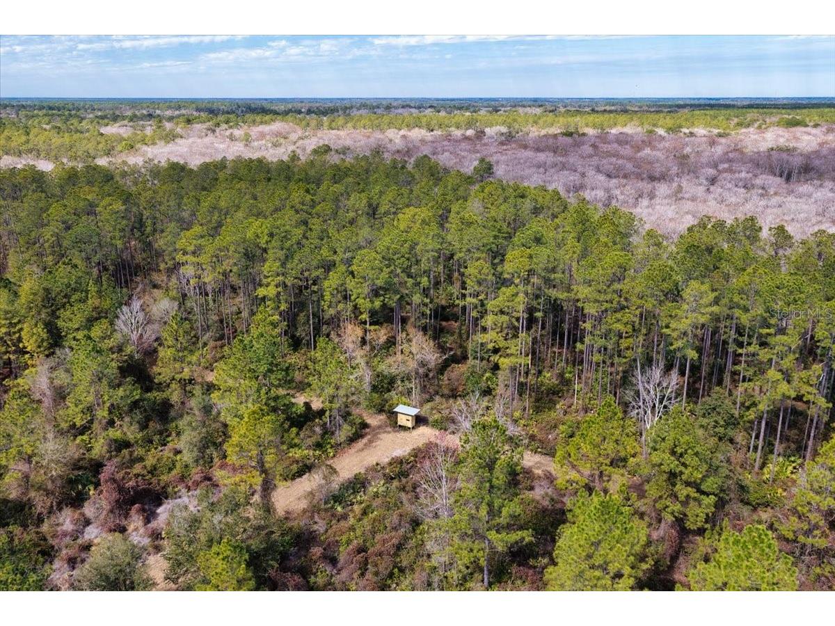 60 Acres NW Clyatt Road Chiefland FL 32626 OM718503 image53