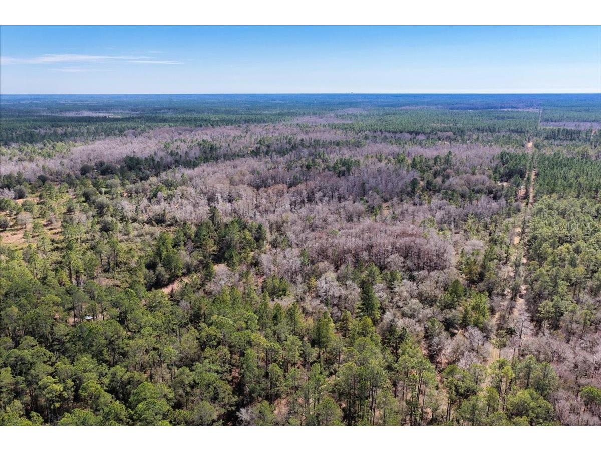 60 Acres NW Clyatt Road Chiefland FL 32626 OM718503 image54