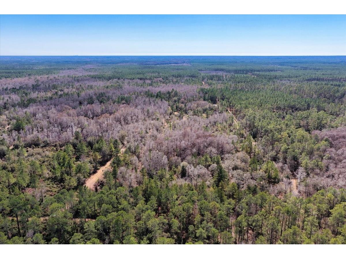 60 Acres NW Clyatt Road Chiefland FL 32626 OM718503 image55