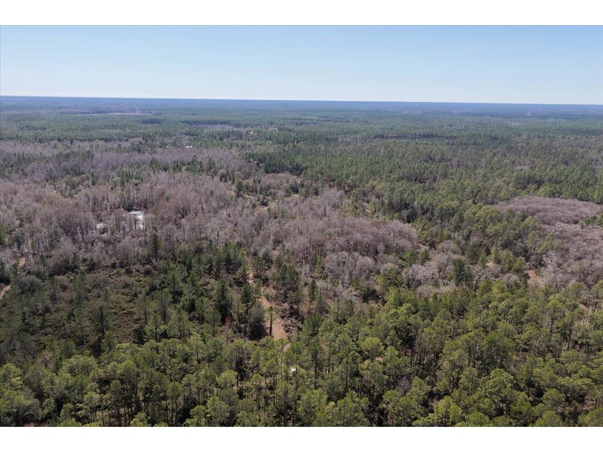 60 Acres NW Clyatt Road Chiefland FL 32626 OM718503 image56