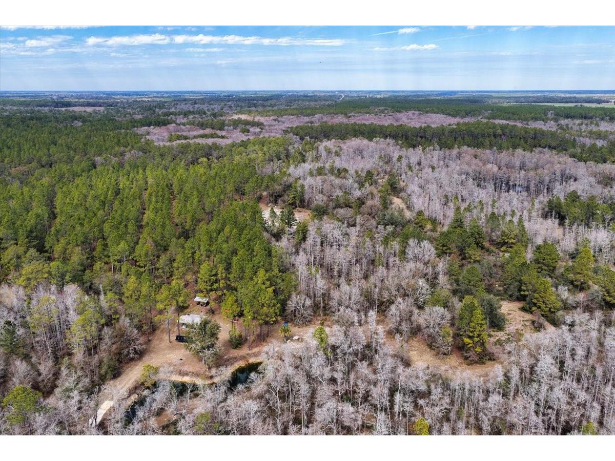 60 Acres NW Clyatt Road Chiefland FL 32626 OM718503 image57