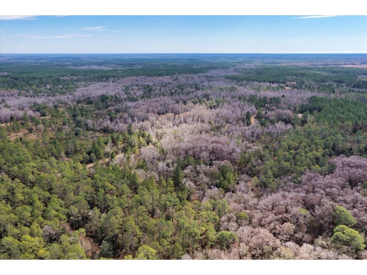 60 Acres NW Clyatt Road Chiefland FL 32626 OM718503 image58