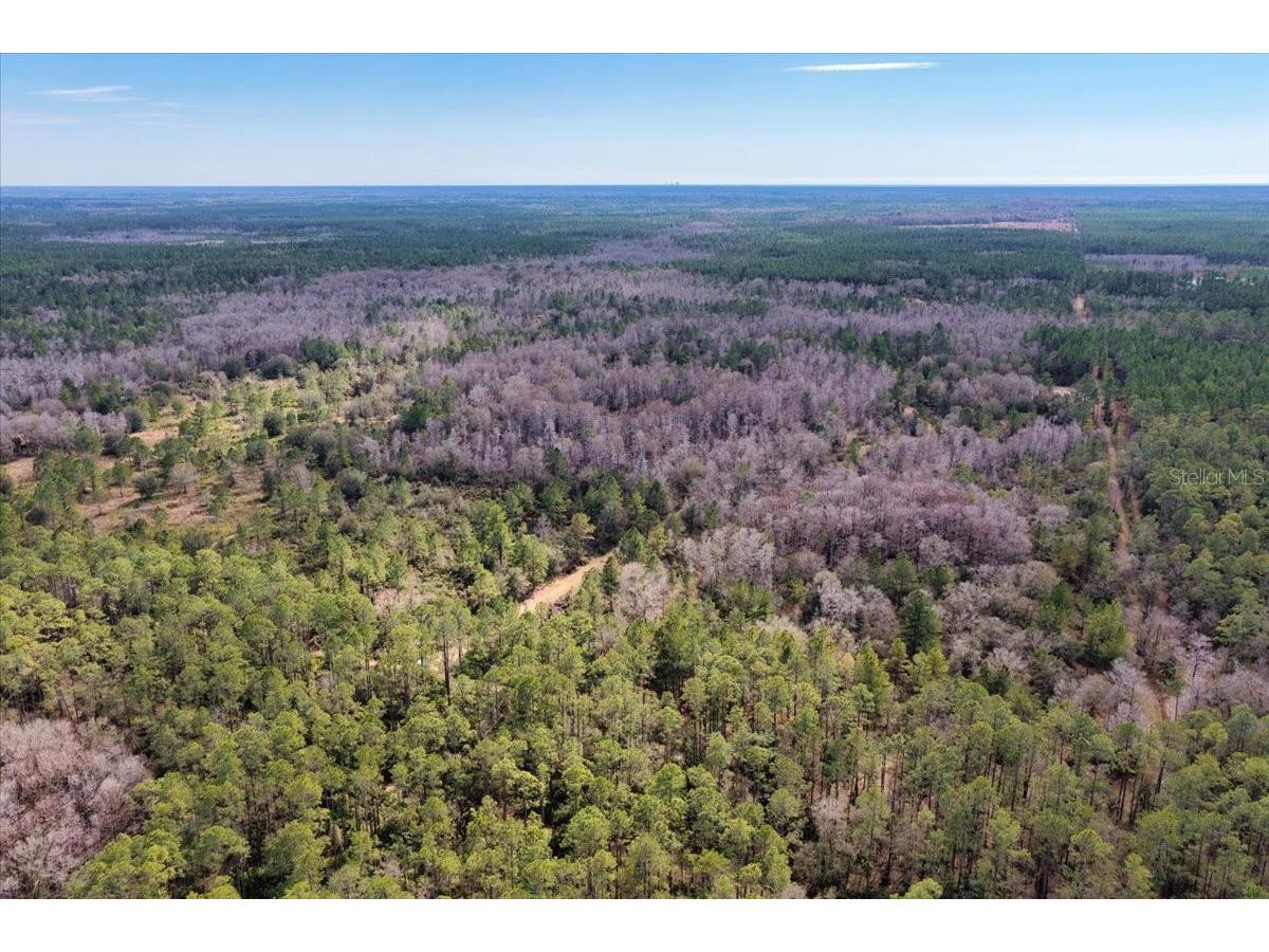 60 Acres NW Clyatt Road Chiefland FL 32626 OM718503 image59