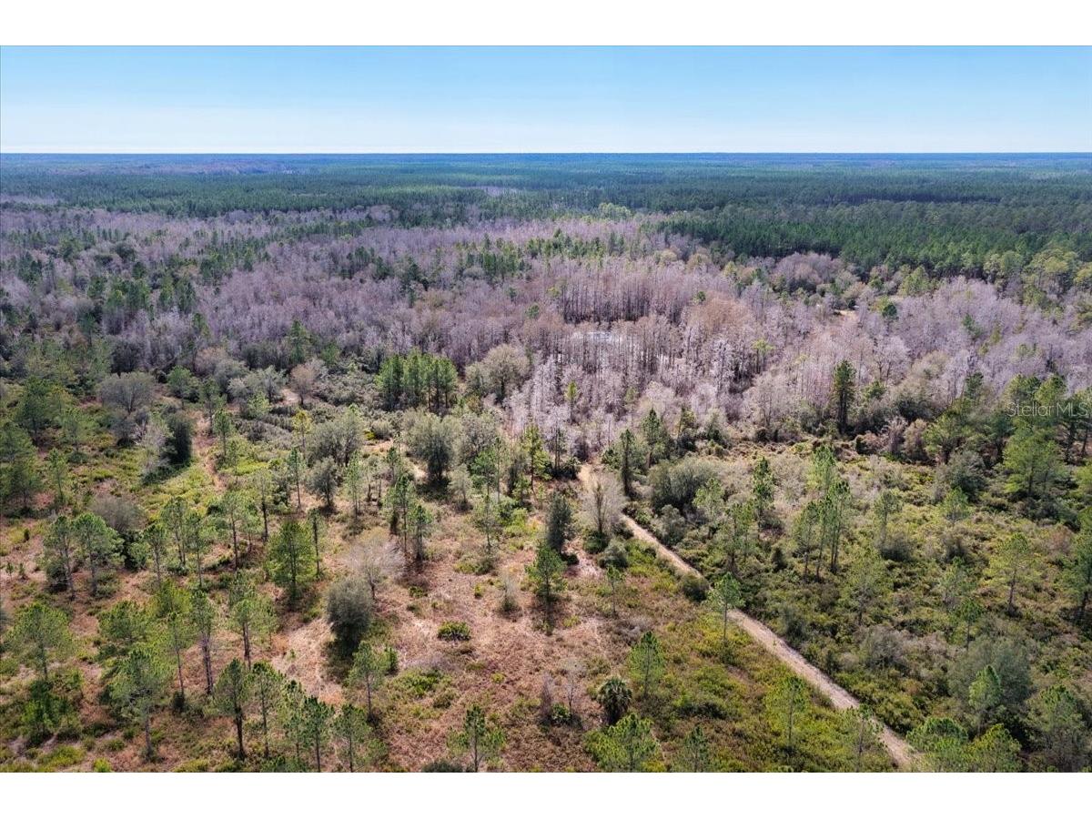 60 Acres NW Clyatt Road Chiefland FL 32626 OM718503 image60