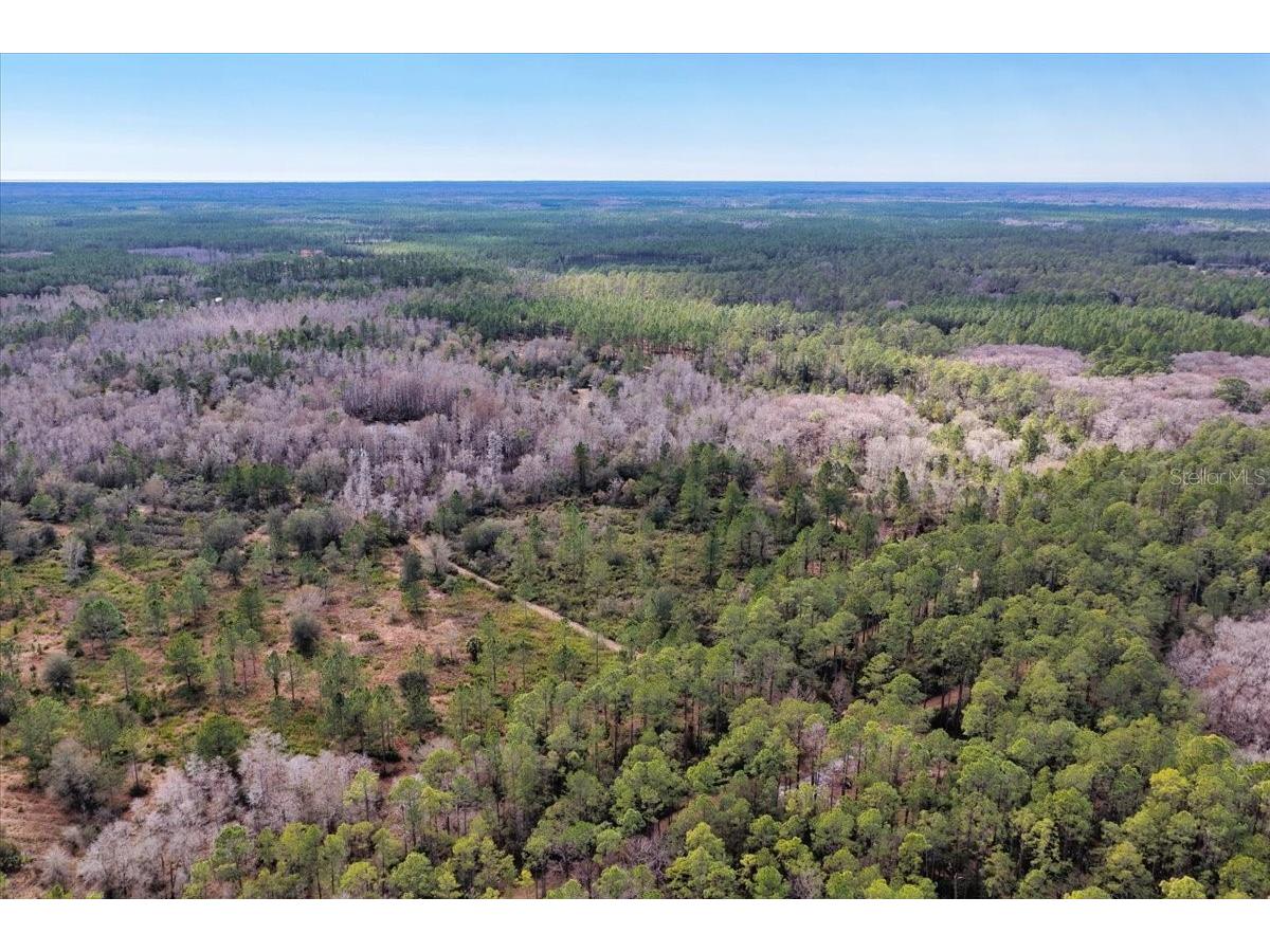 60 Acres NW Clyatt Road Chiefland FL 32626 OM718503 image61