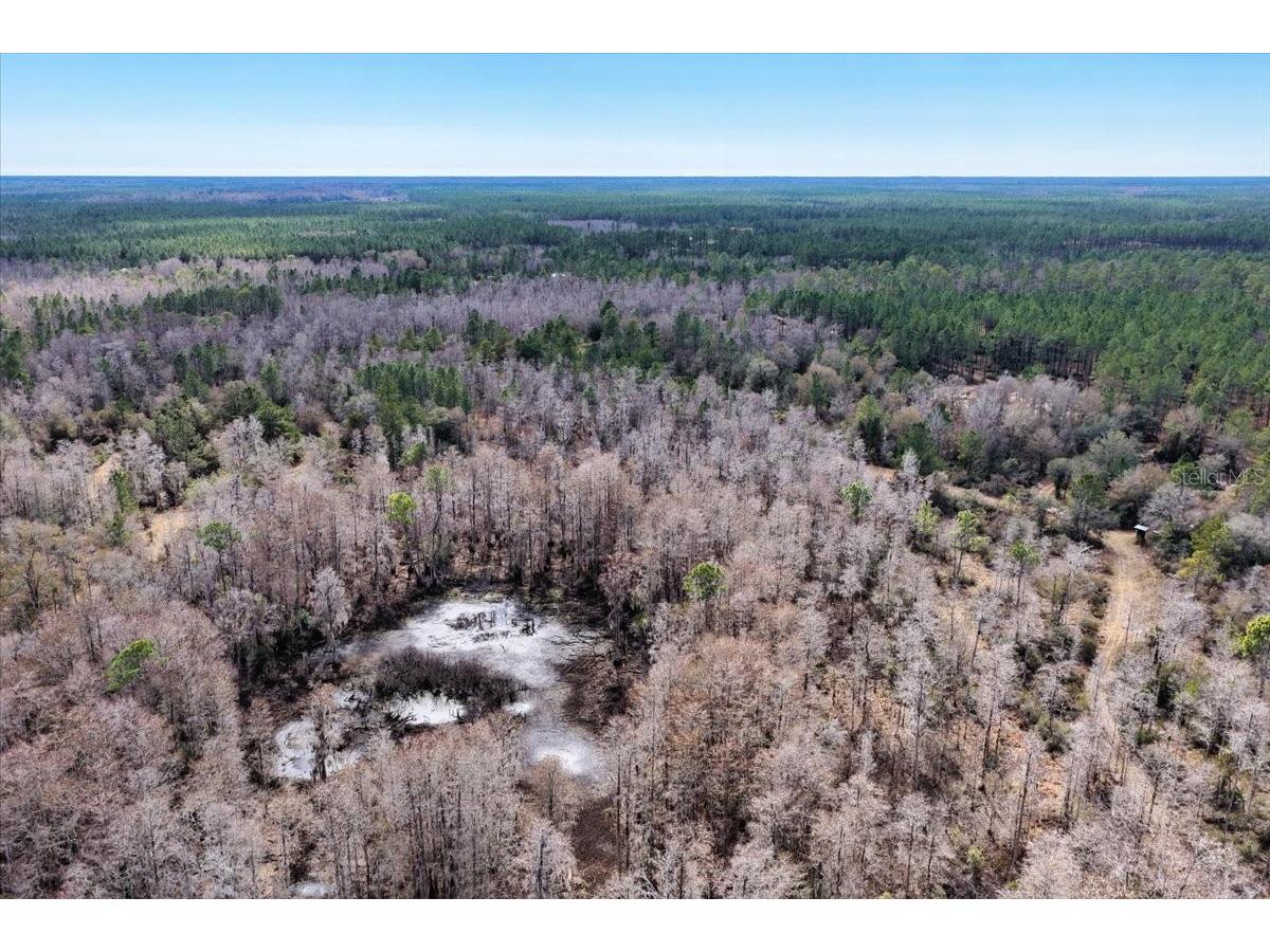 60 Acres NW Clyatt Road Chiefland FL 32626 OM718503 image62