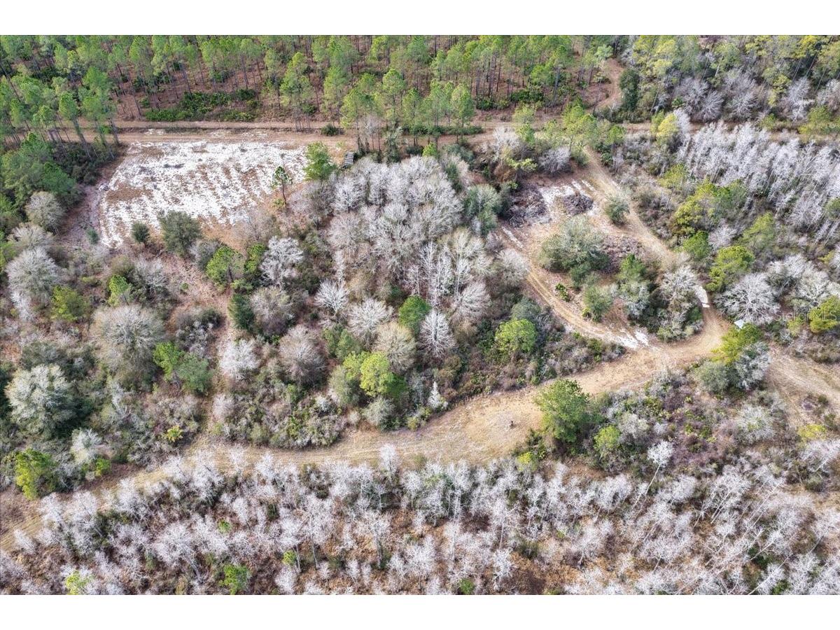 60 Acres NW Clyatt Road Chiefland FL 32626 OM718503 image64