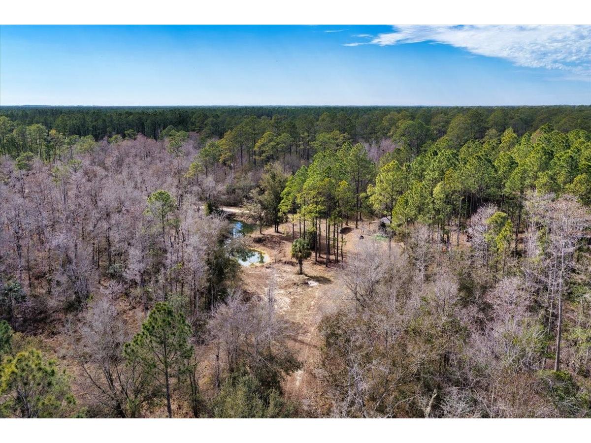 60 Acres NW Clyatt Road Chiefland FL 32626 OM718503 image65