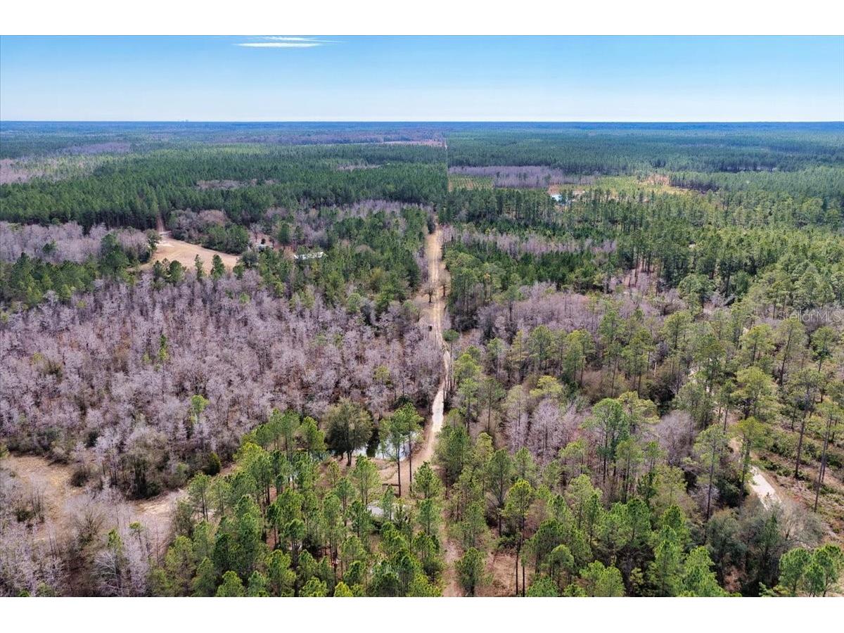 60 Acres NW Clyatt Road Chiefland FL 32626 OM718503 image67