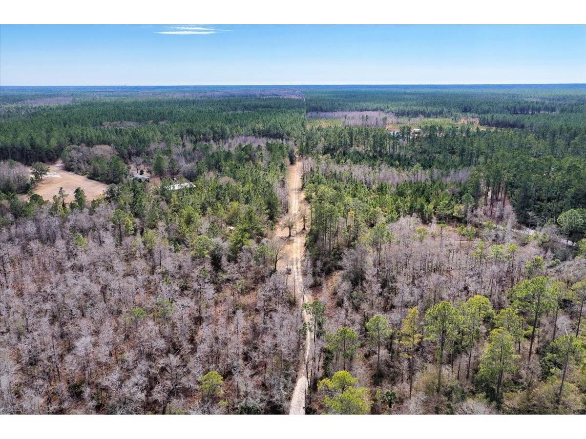 60 Acres NW Clyatt Road Chiefland FL 32626 OM718503 image68