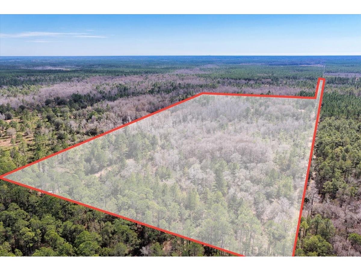 60 Acres NW Clyatt Road Chiefland FL 32626 OM718503 image70
