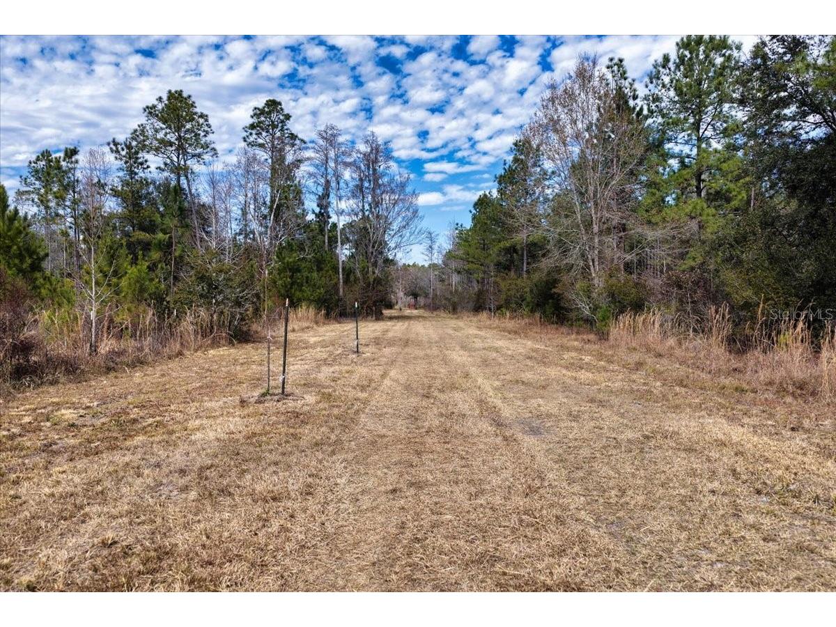 60 Acres NW Clyatt Road Chiefland FL 32626 OM718503 image8