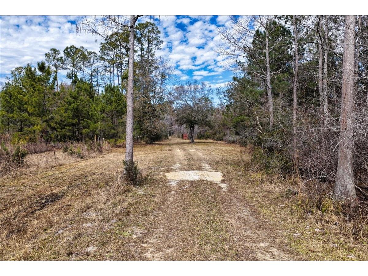 60 Acres NW Clyatt Road Chiefland FL 32626 OM718503 image9