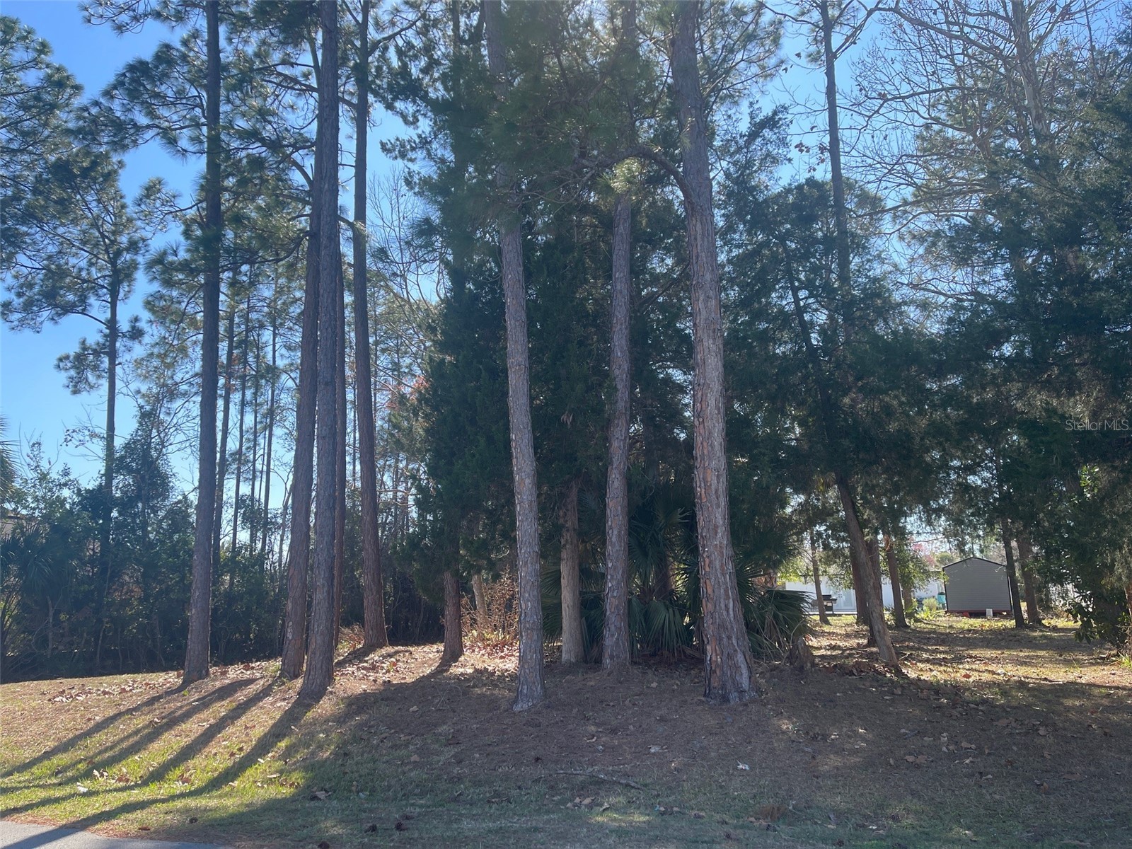 60 Birchwood Drive Palm Coast FL 32137 FC316563 image1