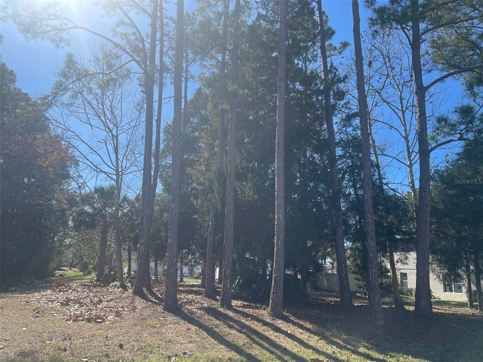 60 Birchwood Drive Palm Coast FL 32137 FC316563 image2