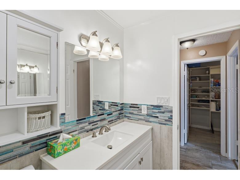 60 Blaine Drive Palm Coast FL 32137 FC317319 image48