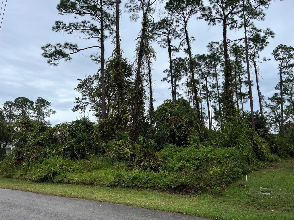 60 Breeze Hill Lane Palm Coast FL 32137 FC296137 image1