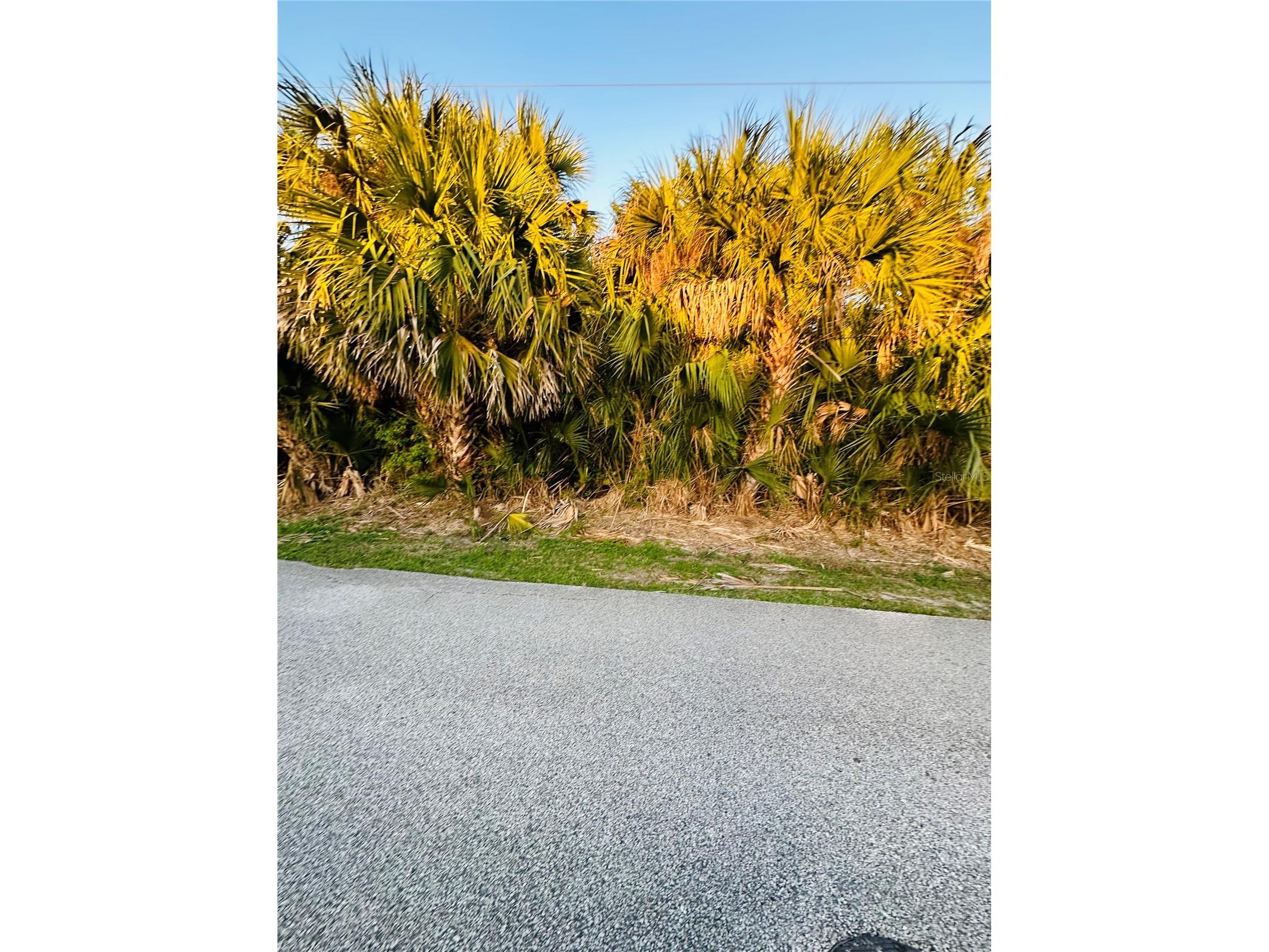 60 Coral Reef Court N Palm Coast FL 32137 FC316862 image11