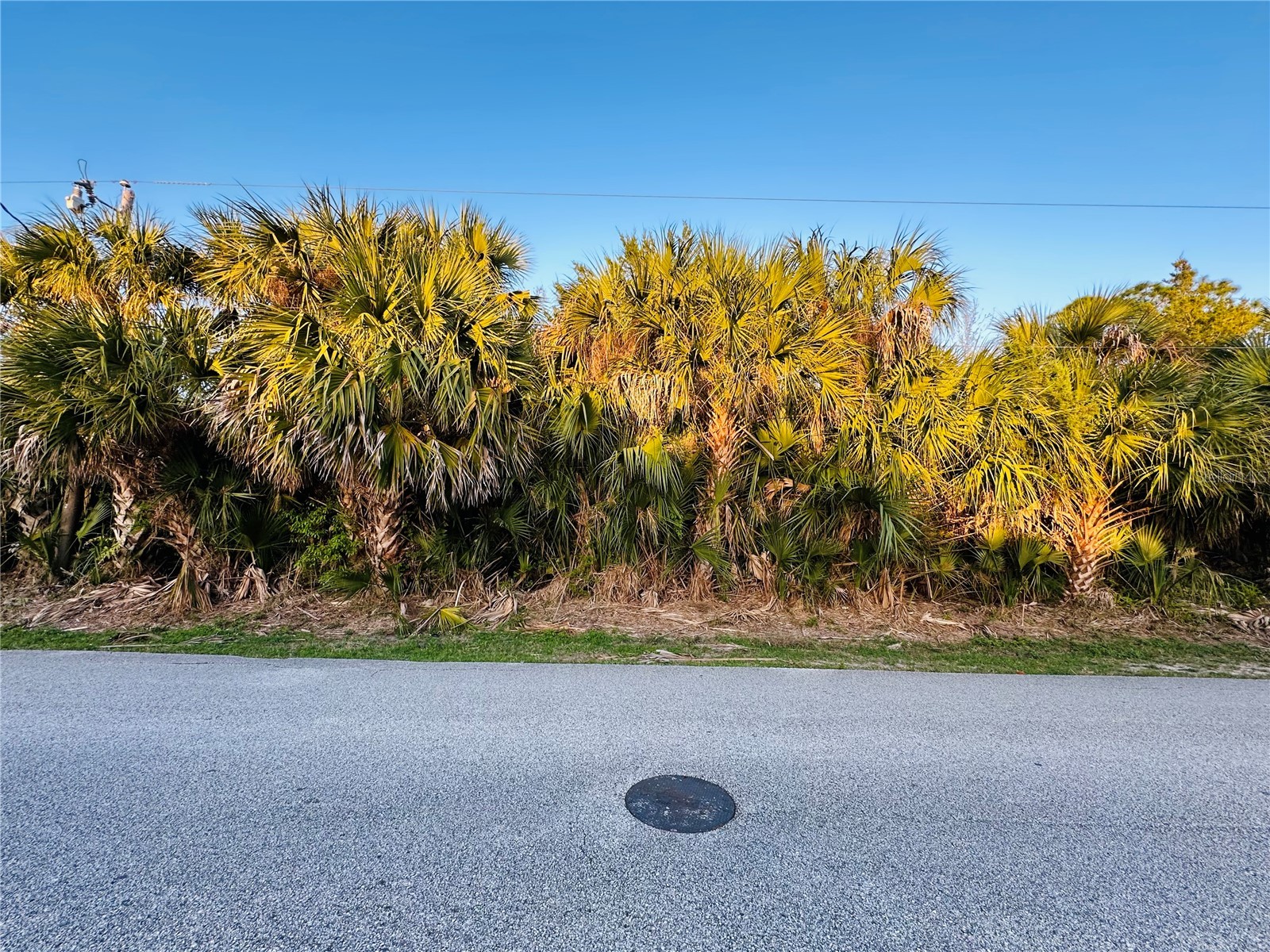 60 Coral Reef Court N Palm Coast FL 32137 FC316862 image12