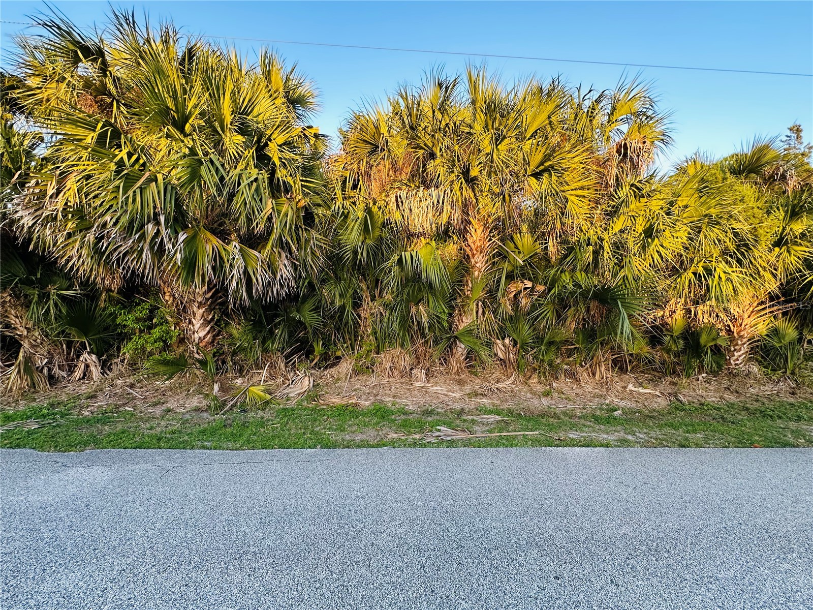 60 Coral Reef Court N Palm Coast FL 32137 FC316862 image13